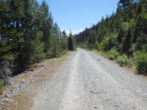GDMBR: Heading down NF-4106 from Huckleberry Pass.